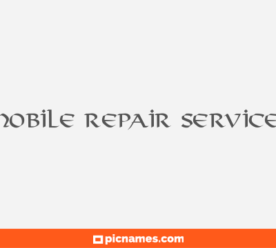 Mobile Repair Services